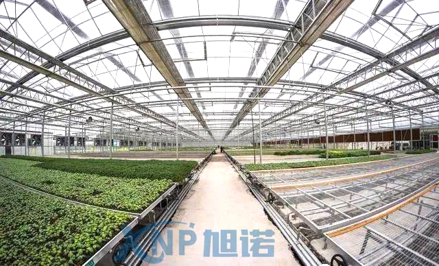 蔬菜溫室大棚可以使用宅男在线免费观看做骨架嗎.jpg